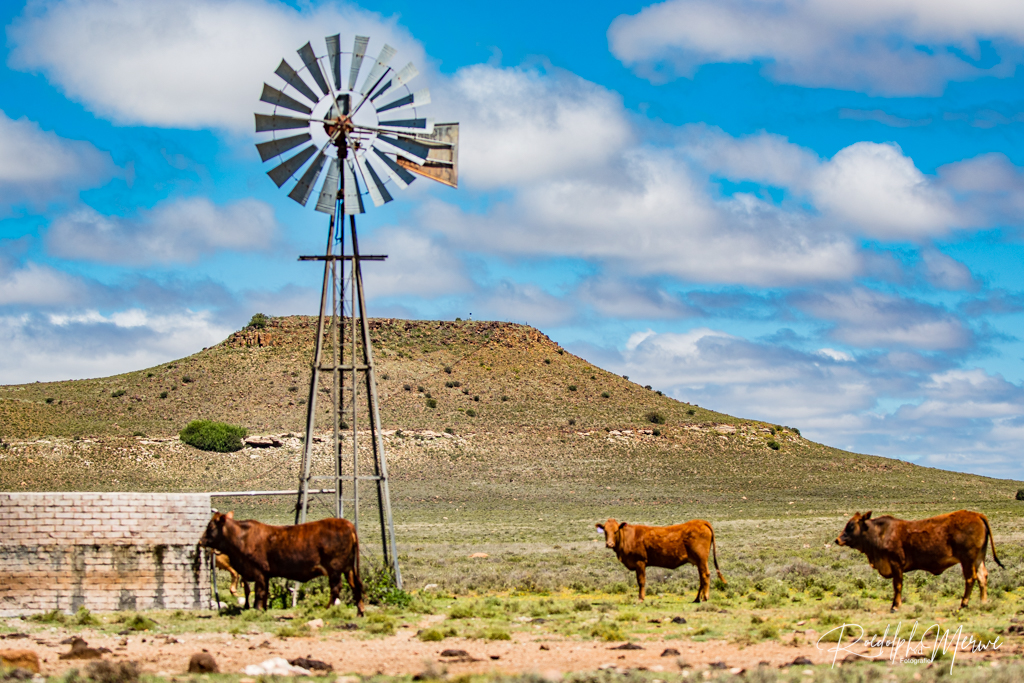 DSC_0121 (2) DSC_0121 (2)