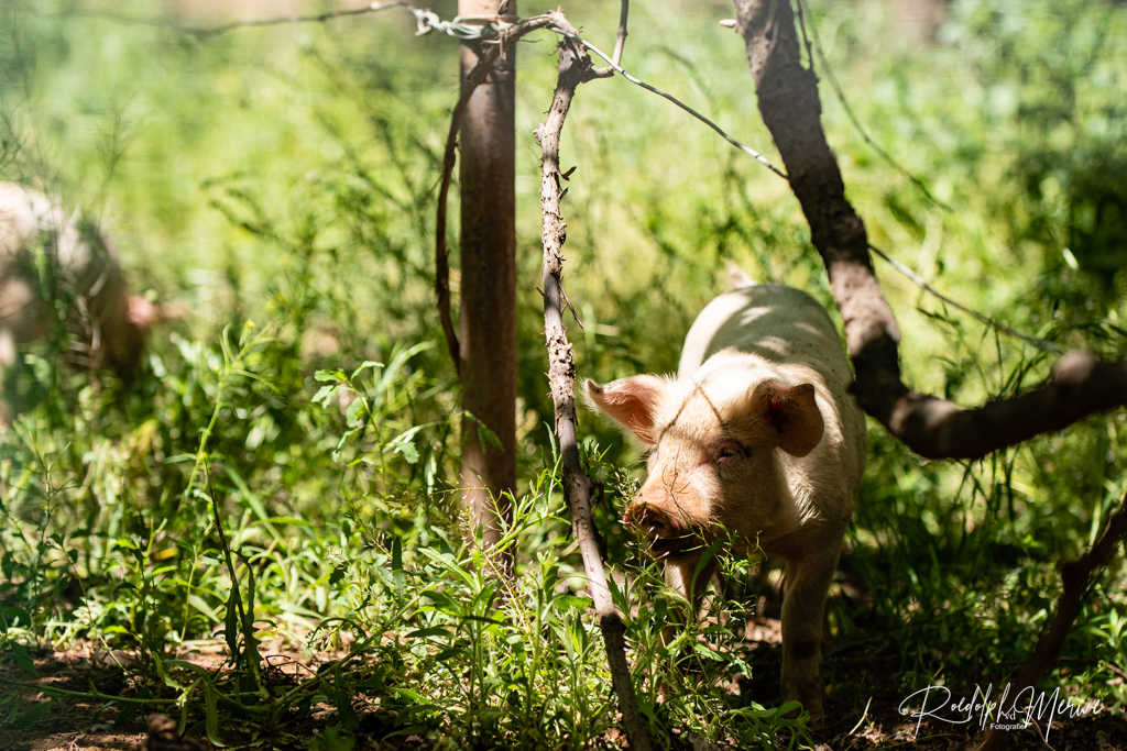 DSC_0153 (2) DSC_0153 (2)