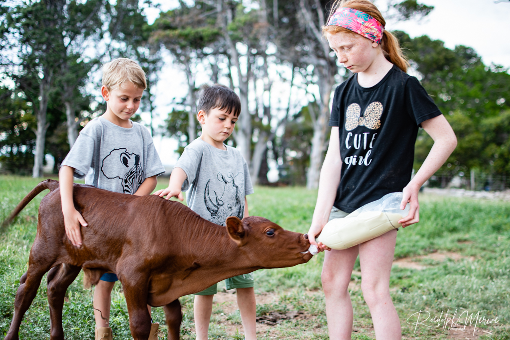 DSC_0268 (1) DSC_0268 (1)